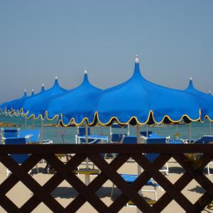 Dsc00224