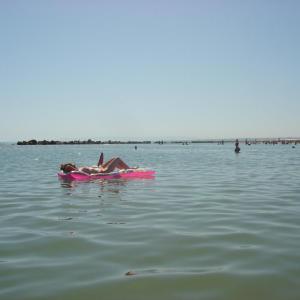 Dsc00686
