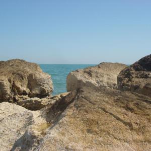 Dsc00696