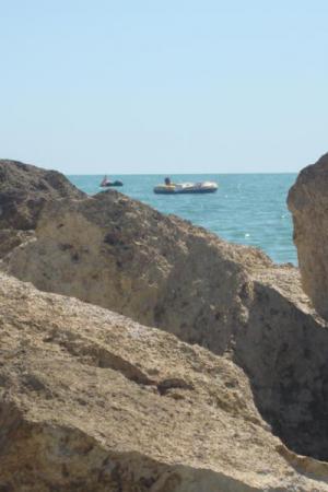 Dsc00705