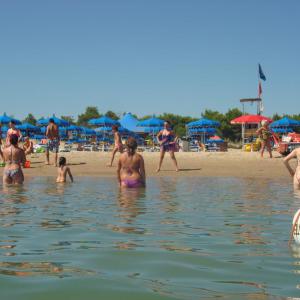 Dsc00725