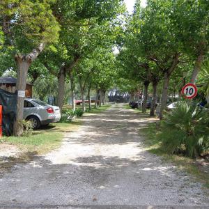 Camping 02