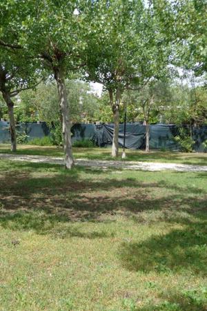 Camping 05