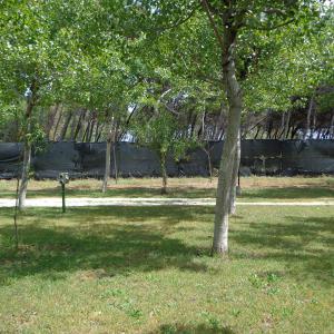 Camping 06